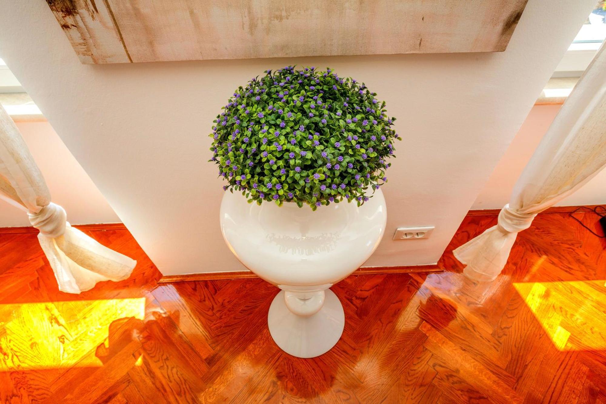 Piazza Dei Signori Penthouse